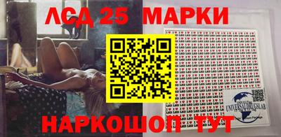 индика Гусев