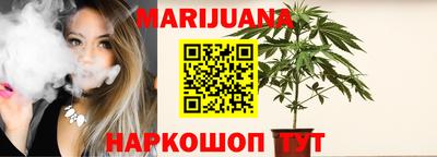 индика Гусев