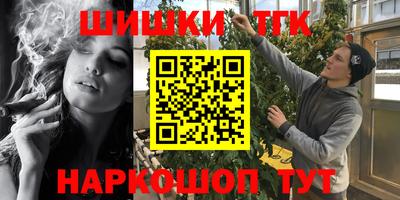 индика Гусев