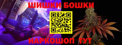 индика Гусев