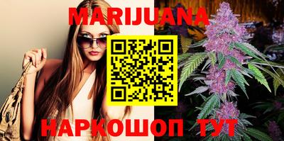 индика Гусев