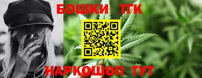 индика Гусев