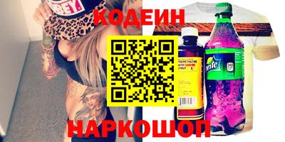 индика Гусев